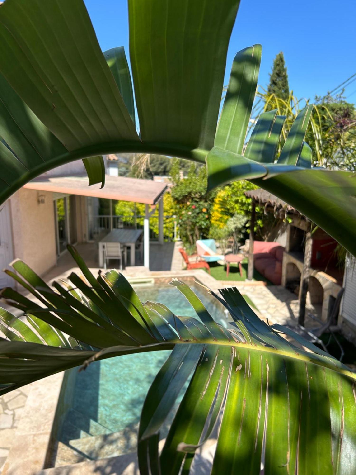 Villa L' Oliviera, Vue Mer Et Plages A Pieds Sete Exterior photo